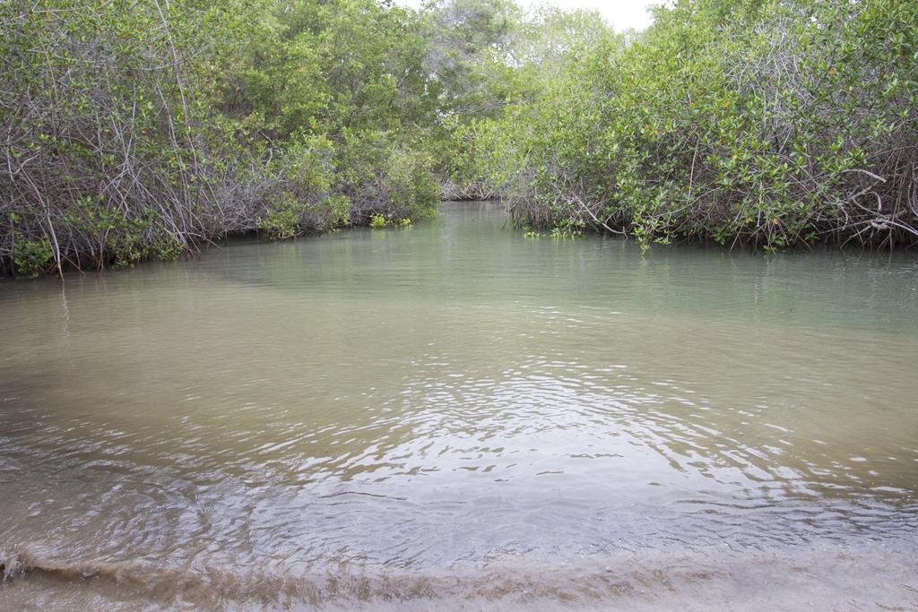 Paraiso De Isabela بْوُرتو فيلاميل المظهر الخارجي الصورة