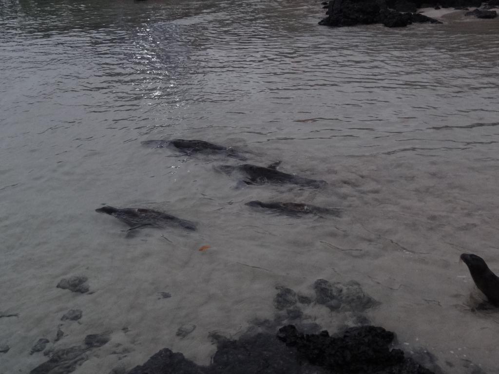Paraiso De Isabela بْوُرتو فيلاميل المظهر الخارجي الصورة