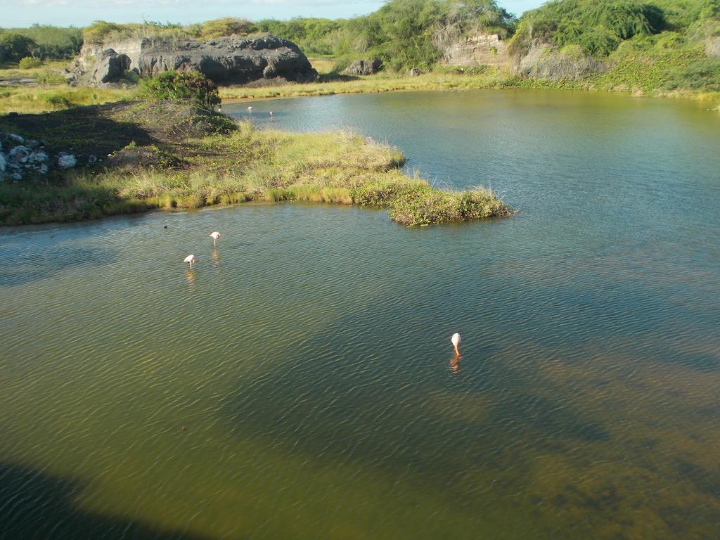 Paraiso De Isabela بْوُرتو فيلاميل المظهر الخارجي الصورة